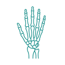 Hand & Wrist