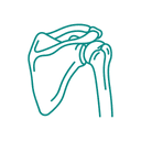 Shoulder